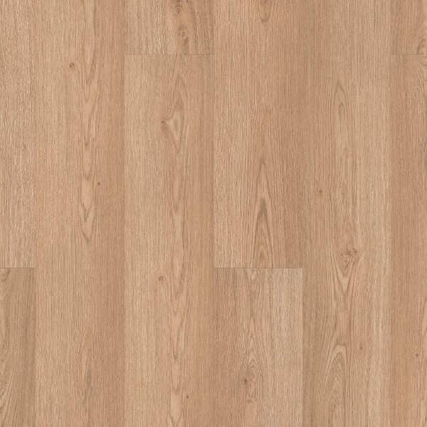 Cadence Natural Oak